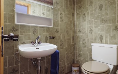 Holiday Flat Cricer